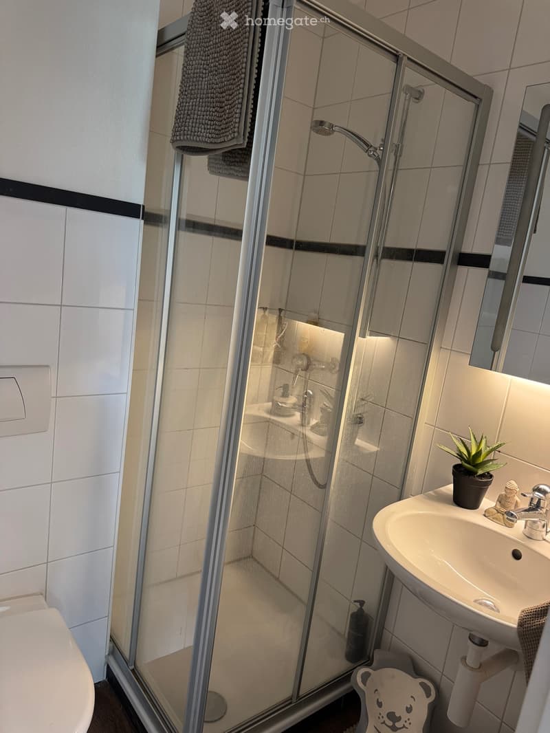 Grosszügige Wohnung mit privatem grossem 80m2 Garten (5)