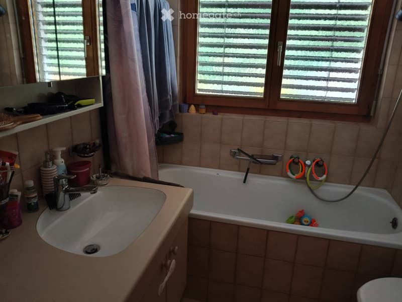 4,5 Zimmerwohnung (4)