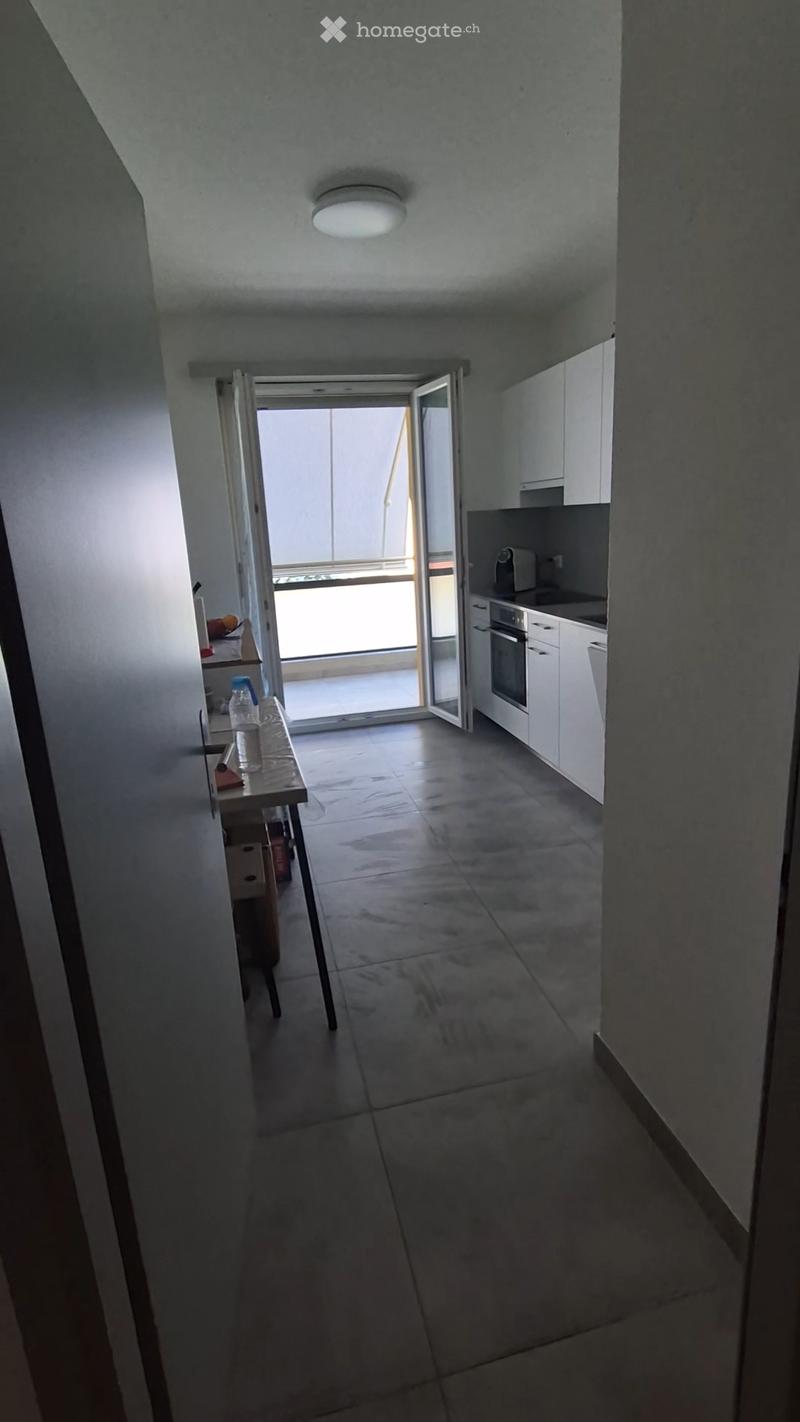CERCO SUBENTRANTE PER AMPIO 2.5 LOCALI A BELLINZONA (9)