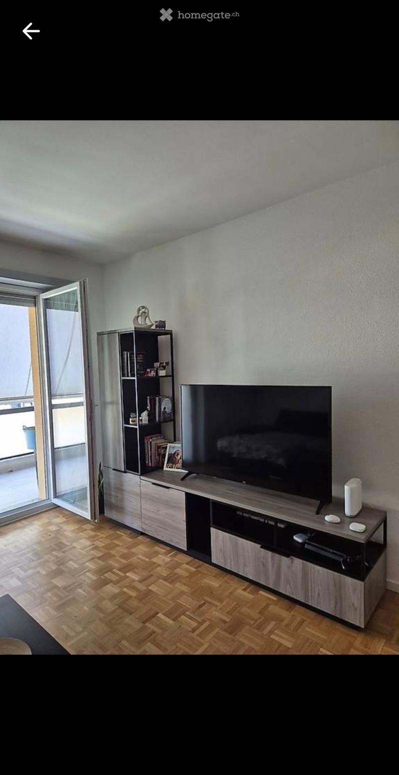 CERCO SUBENTRANTE PER AMPIO 2.5 LOCALI A BELLINZONA (3)