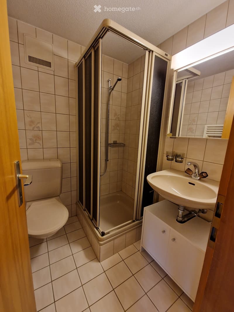 Studio zu vermieten (4)