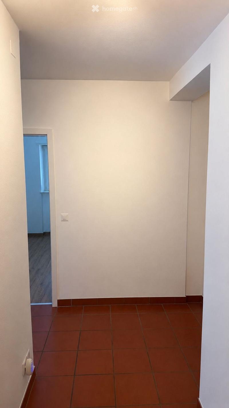 Vezia affittasi appartamento 3.5 locali ristrutturato (3)