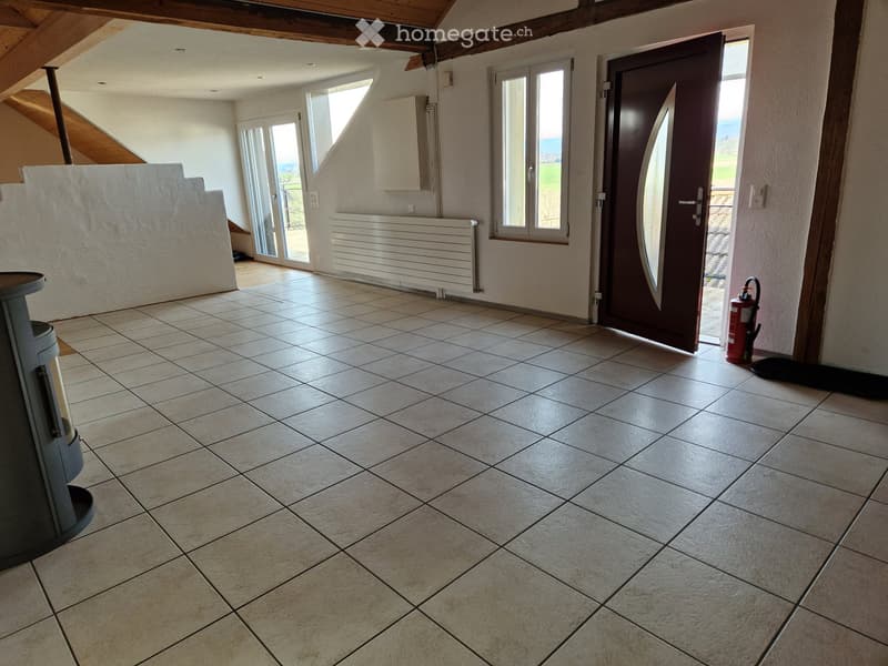 Loft-Dachwohnung Altbau (2)