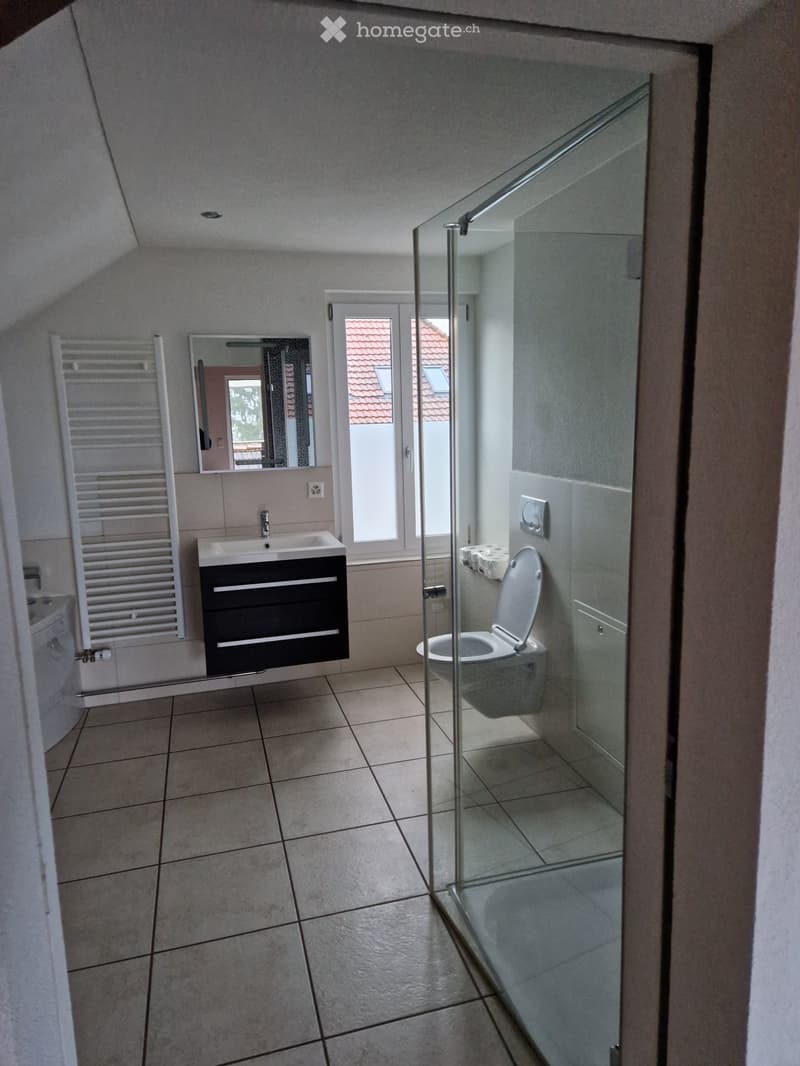 Loft-Dachwohnung Altbau (5)