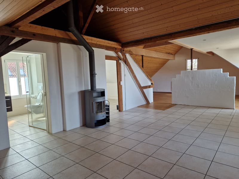 Loft-Dachwohnung Altbau (1)
