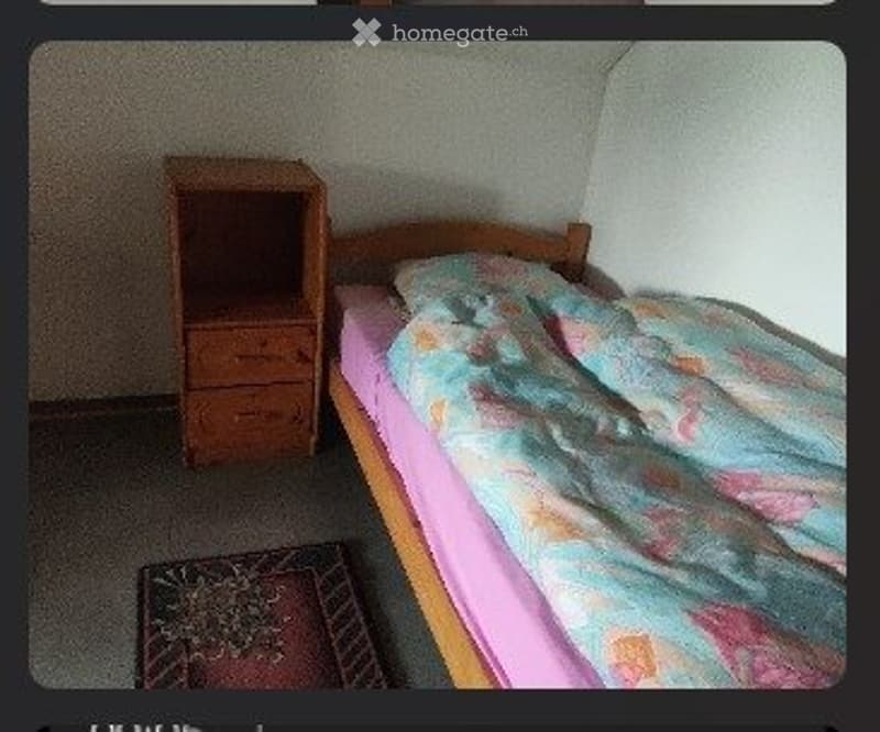 2 1/2 Zimmer Wohnung (5)