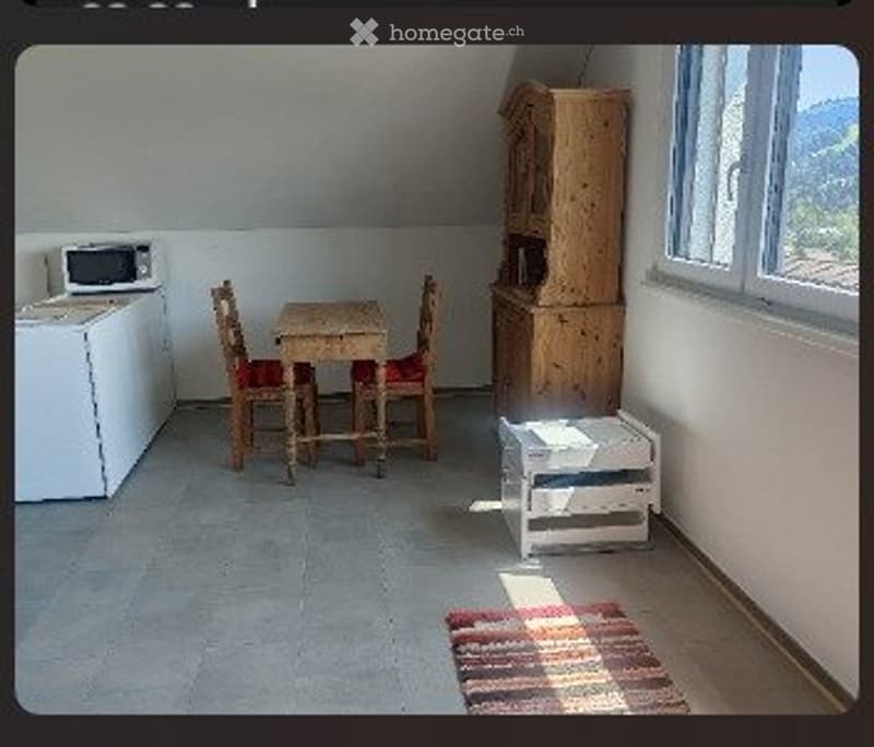 2 1/2 Zimmer Wohnung (2)