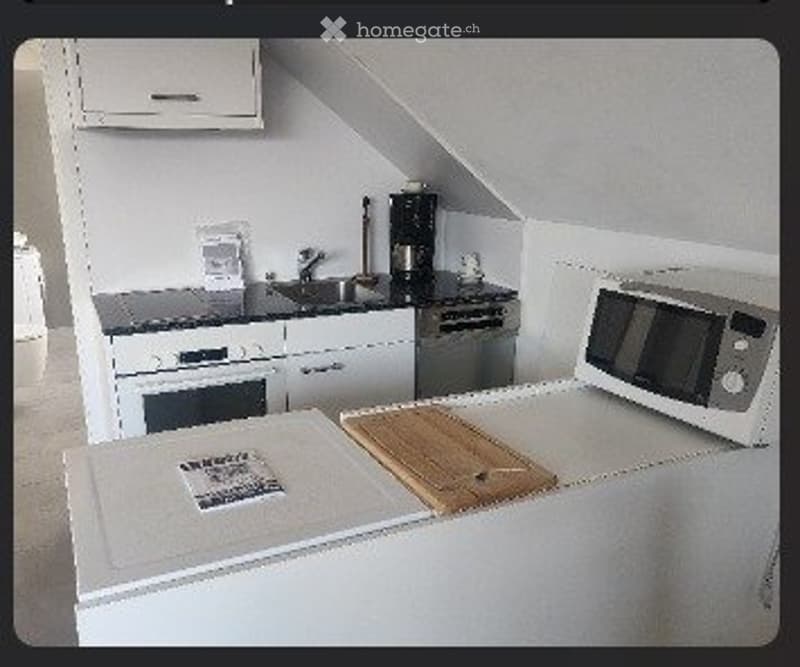 2 1/2 Zimmer Wohnung (1)