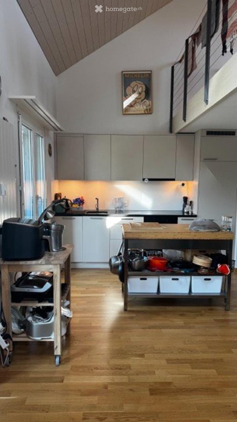 Duplex Eigerplatz Bern (1)