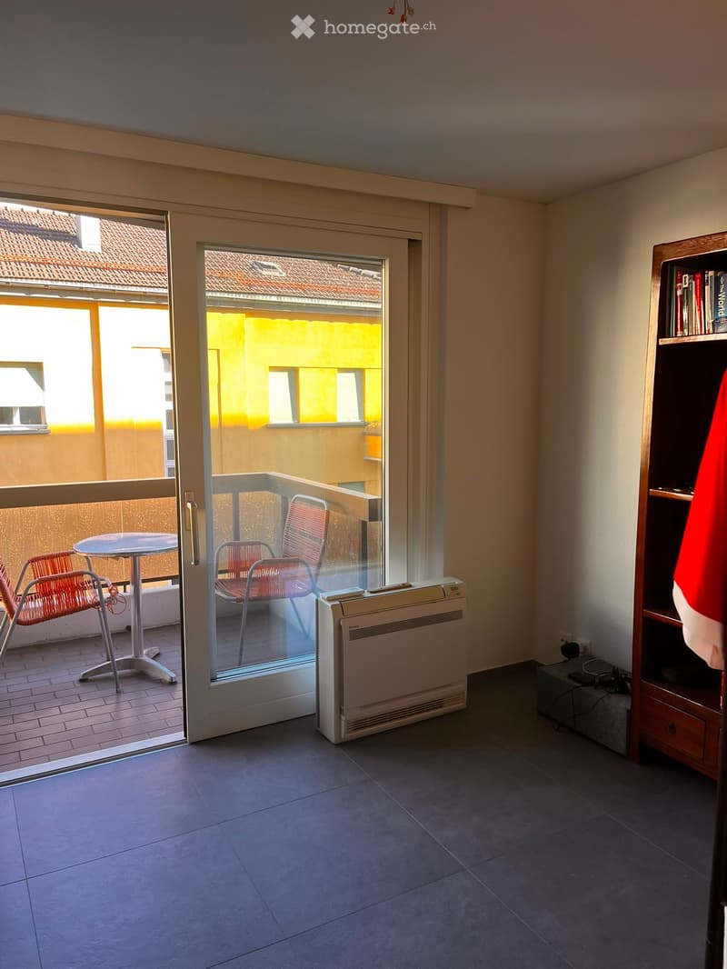 Affitto subentro - Appartamento 2 locali a Locarno (3)