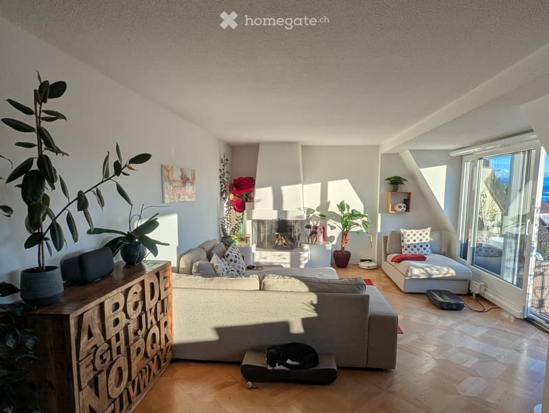 Möblierte 4½-Zimmer-Wohnung mit Dachterrasse, Okt.-Dez. 2026 (1)