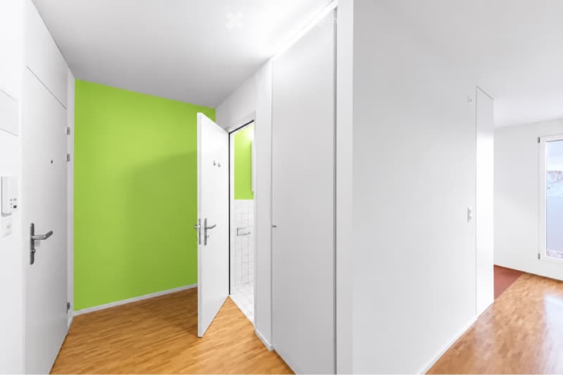 Zentrale Wohnung in Basel (5)