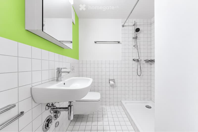 Zentrale Wohnung in Basel (4)