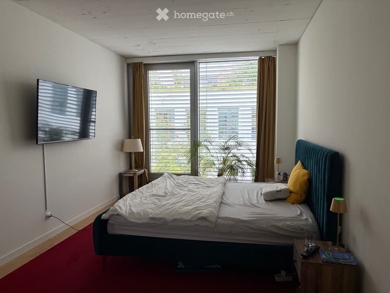 Traum 4.5-Zimmer Wohnung mitten in Winterthur Kautionsfrei (5)