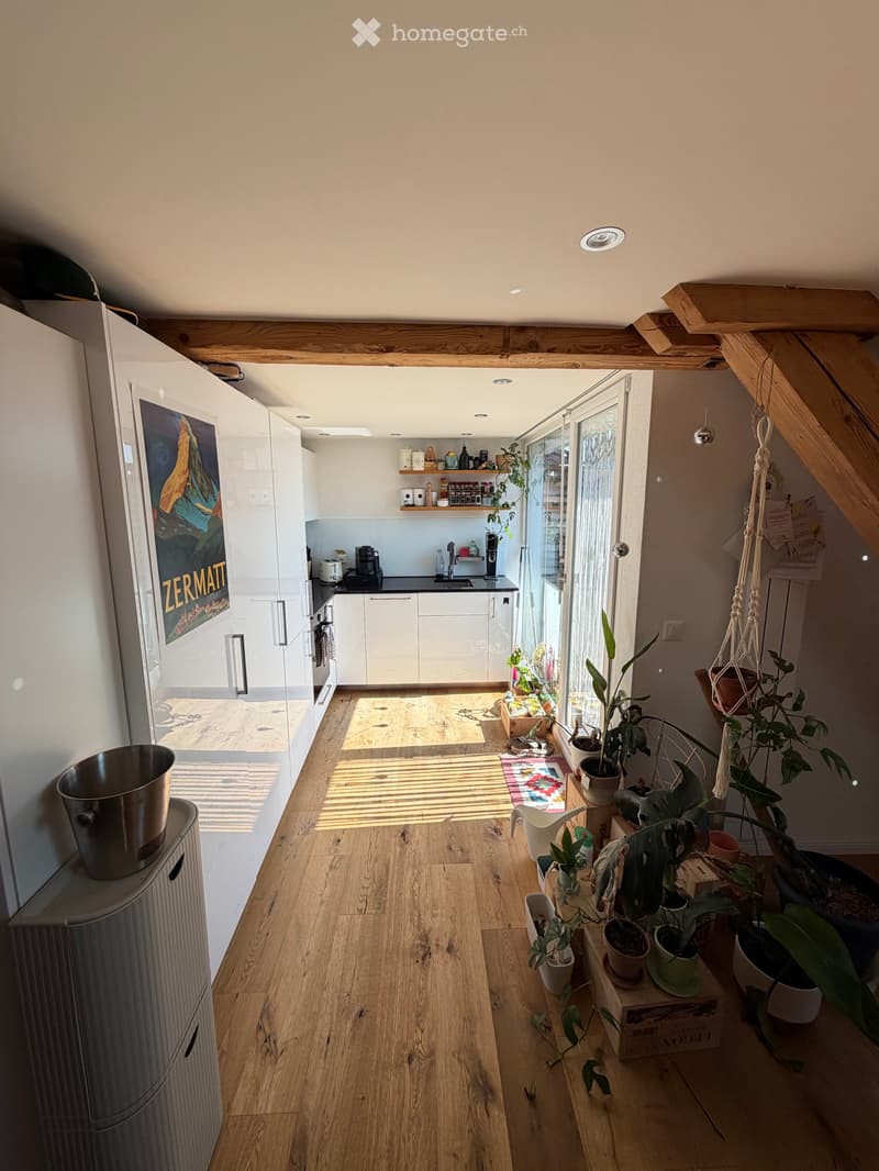 Charmante Altstadt Wohnung Solothurn (3)