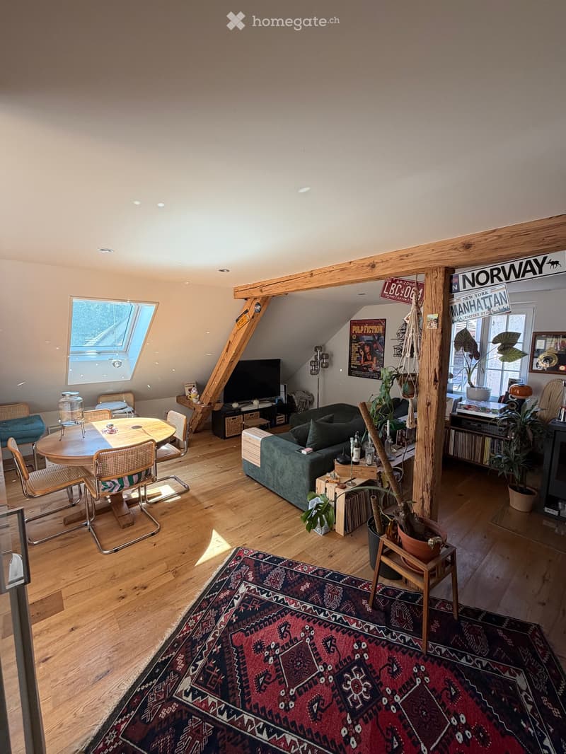 Charmante Altstadt Wohnung Solothurn (1)