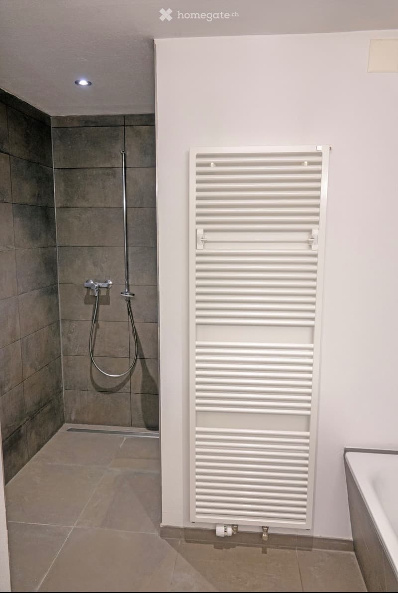 3.5 Zimmerwohnung in Luterbach mit Freisitz (3)