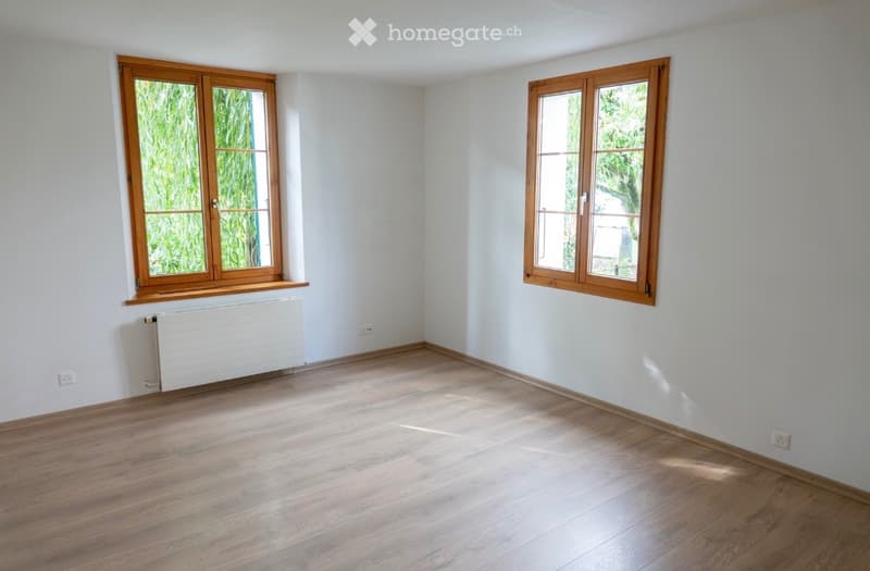 3.5 Zimmerwohnung in Luterbach mit Freisitz (5)