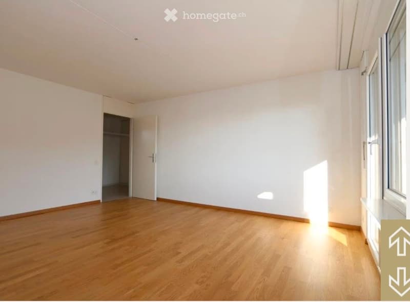 Suche nachmitter (2)