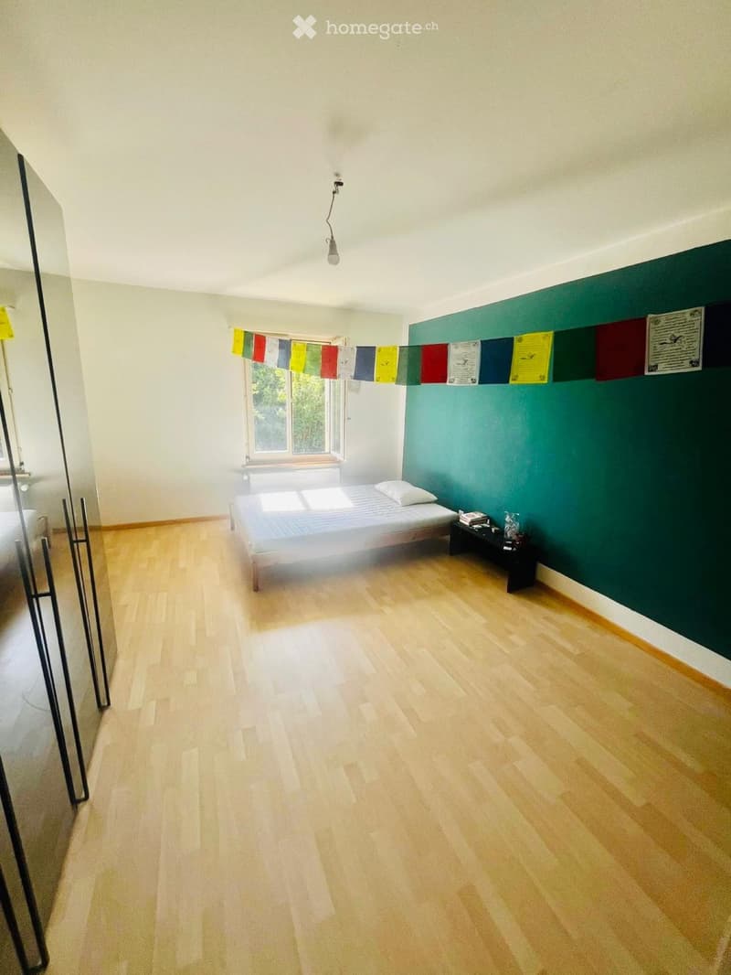 Ruhiges WG-Zimmer in Solothurn (2)