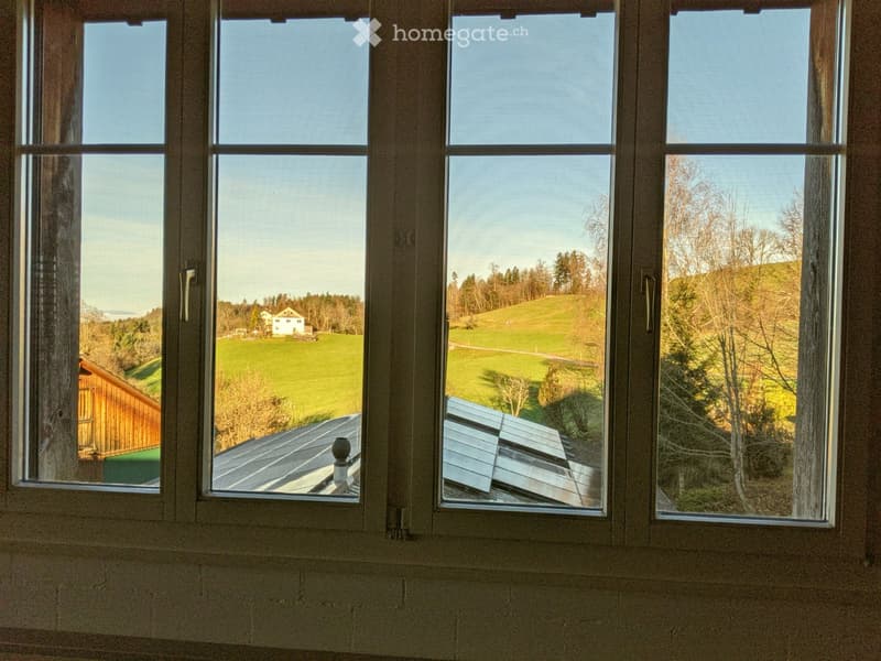 grosse Loft zur Selbstgestaltung .. Leben im Grünen (3)
