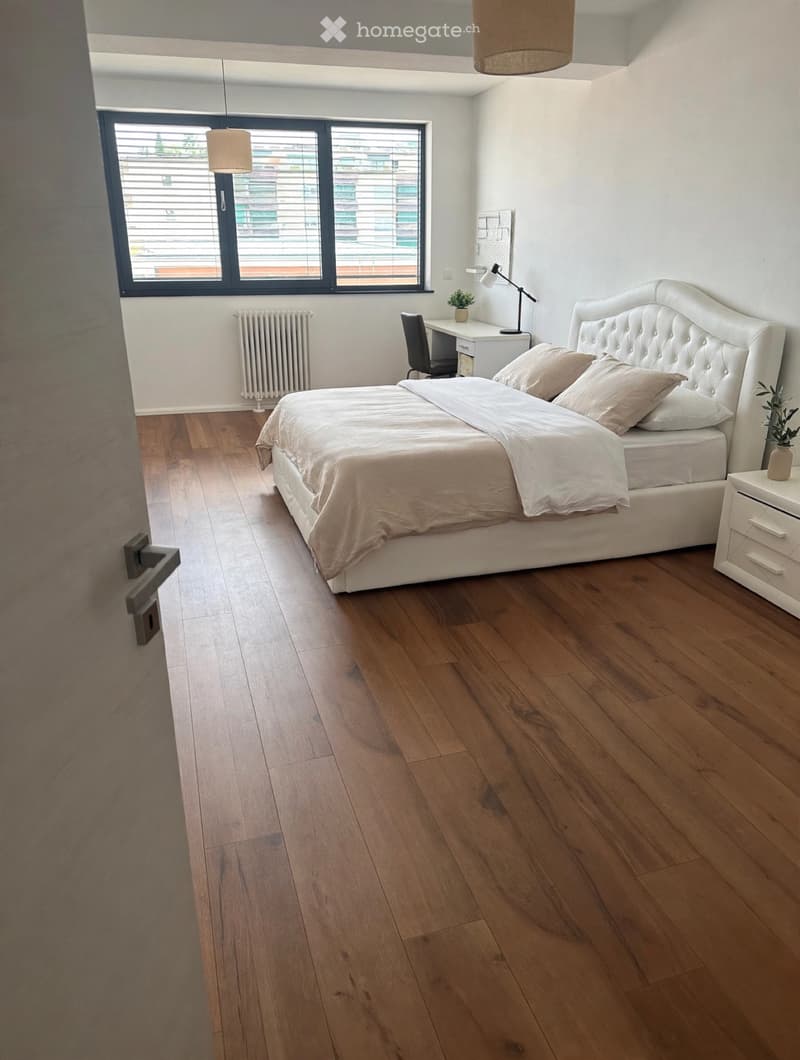 SUBENTRO - AMPIO APPARTAMENTO 3.5 LOCALI A PARADISO (2)
