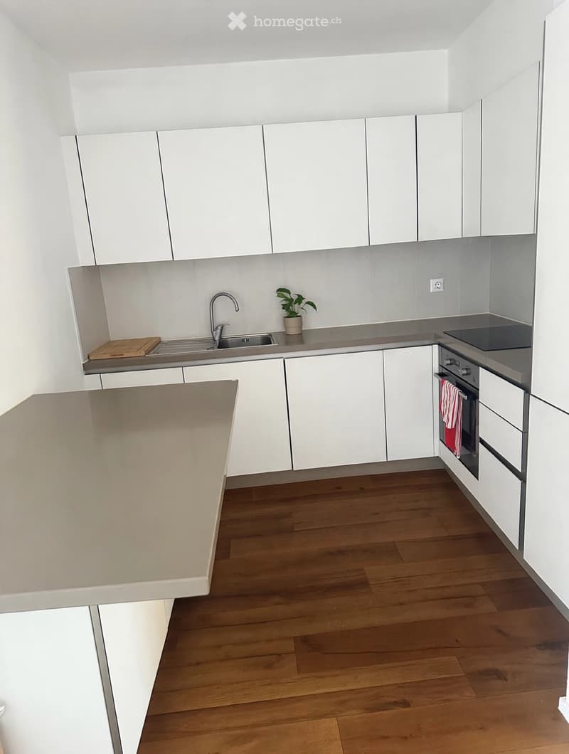 SUBENTRO - AMPIO APPARTAMENTO 3.5 LOCALI A PARADISO (3)