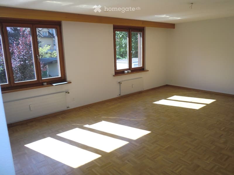 Charmante und ruhige Wohnlage 2.5-Zimmer Wohnung in Herisau (3)
