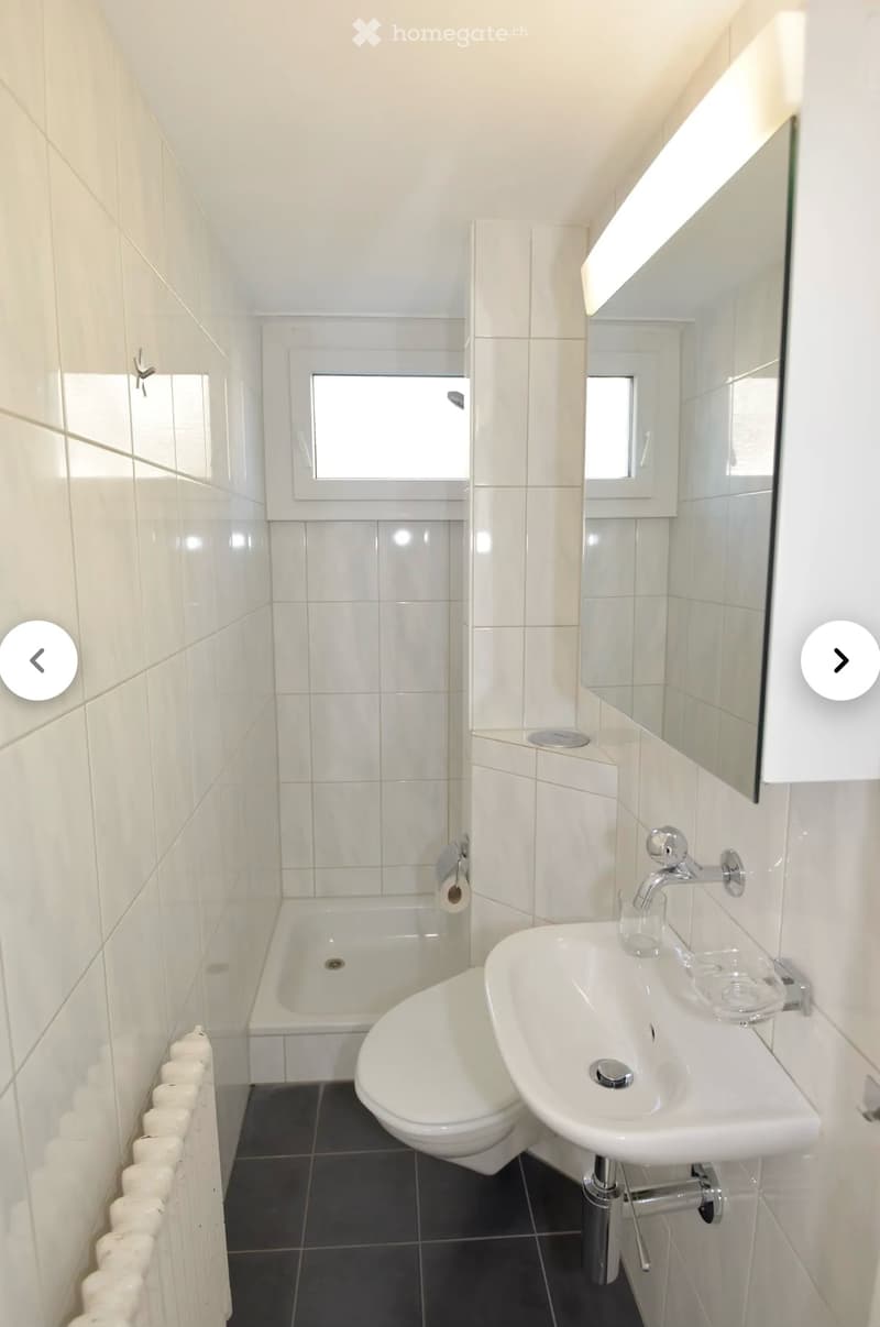 2,5-Zimmer-Dachwohnung (5)