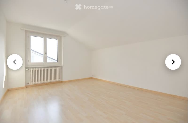 2,5-Zimmer-Dachwohnung (4)