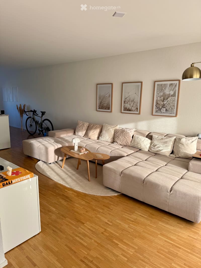 Helle 3.5-Zimmer-Wohnung mit grosser Loggia & PP in Muri AG (2)