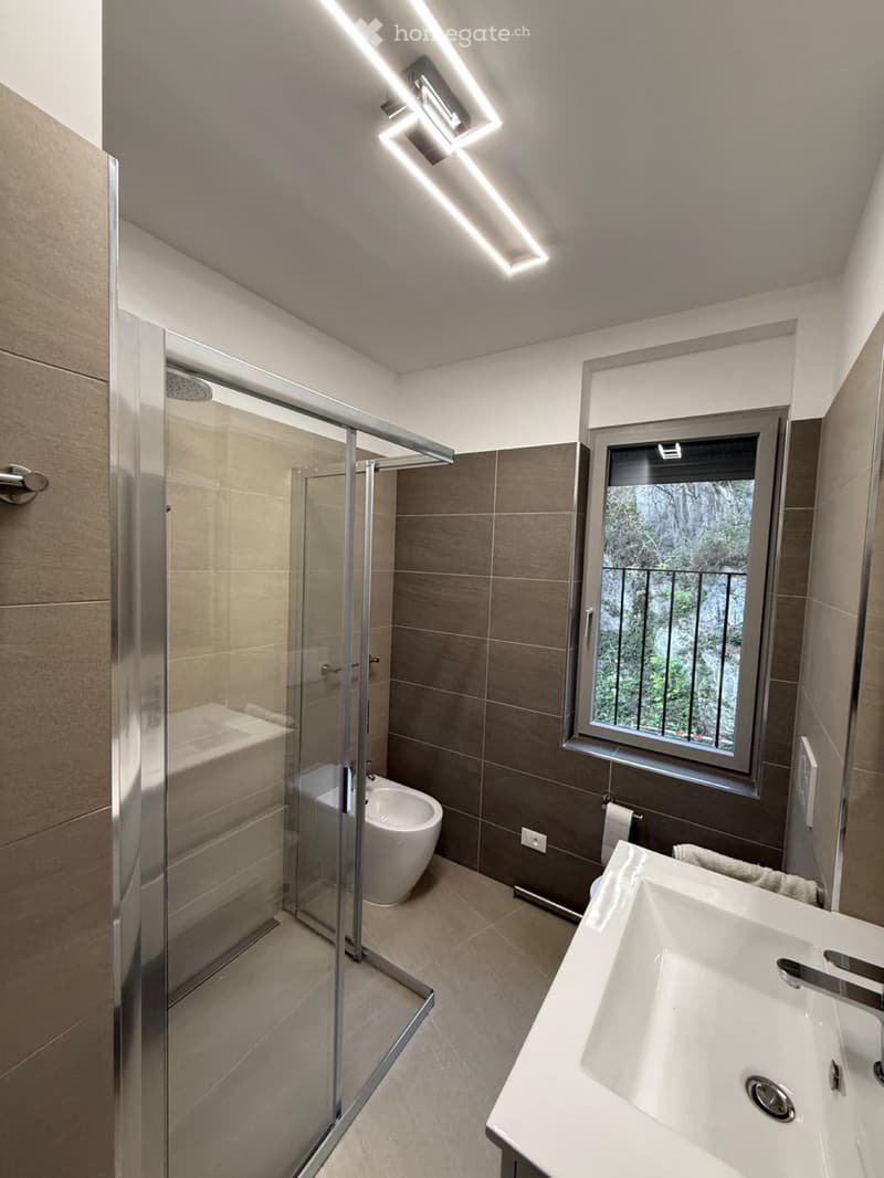 Appartamento 2.5 con splendida vista (4)