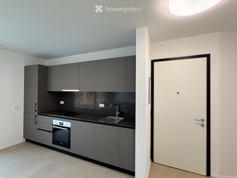 Appartamento 2.5 con splendida vista (1)
