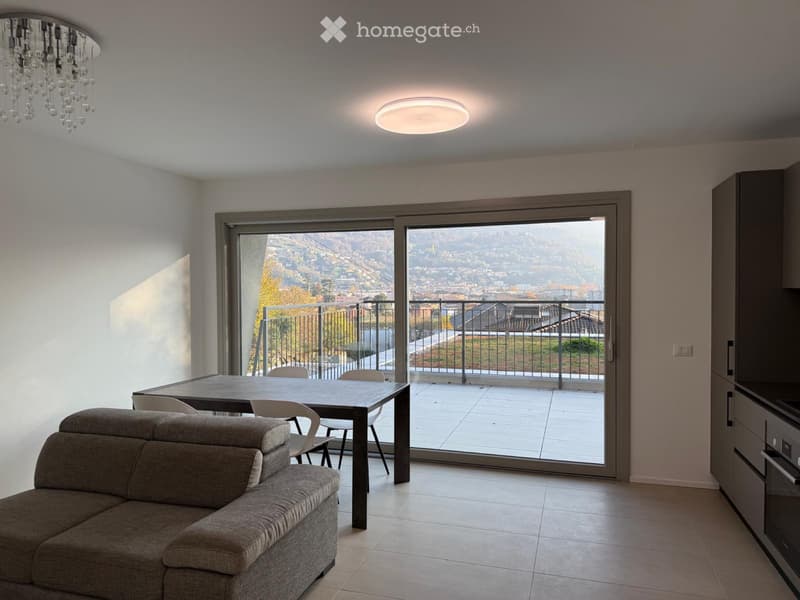 Appartamento 2.5 con splendida vista (3)