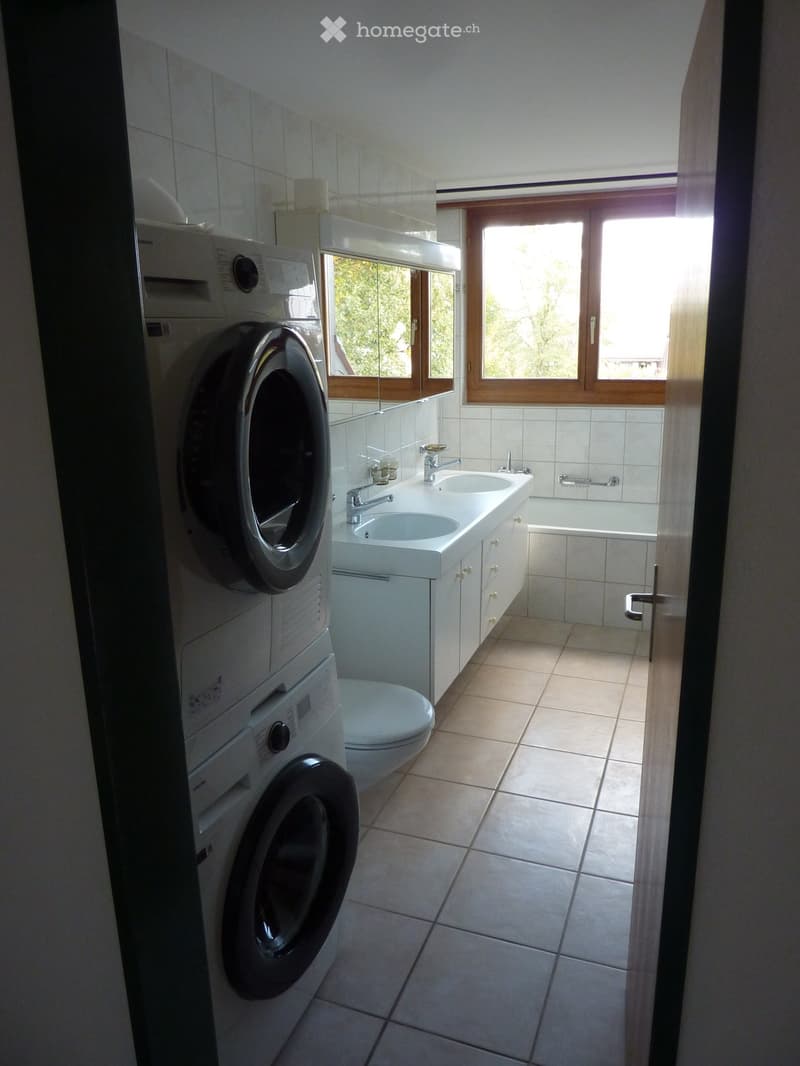 Dachwohnung für Familie (3)