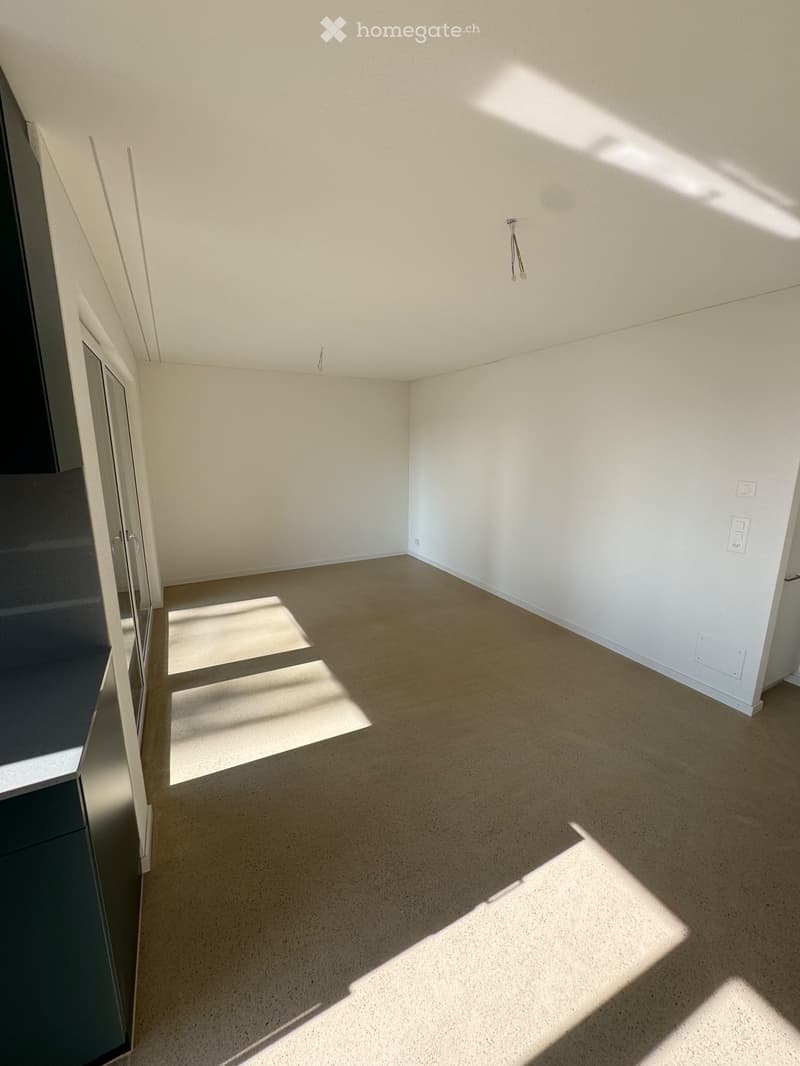 2.5 Wohnung in Rheinfelden (3)