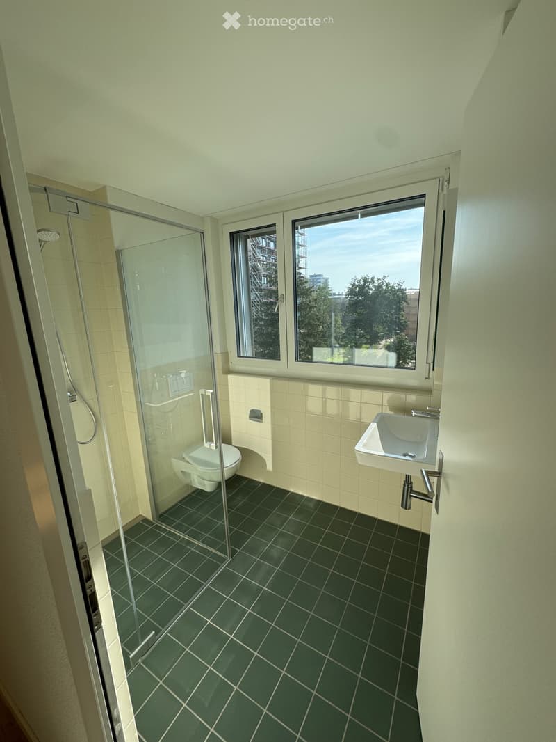 2.5 Wohnung in Rheinfelden (5)