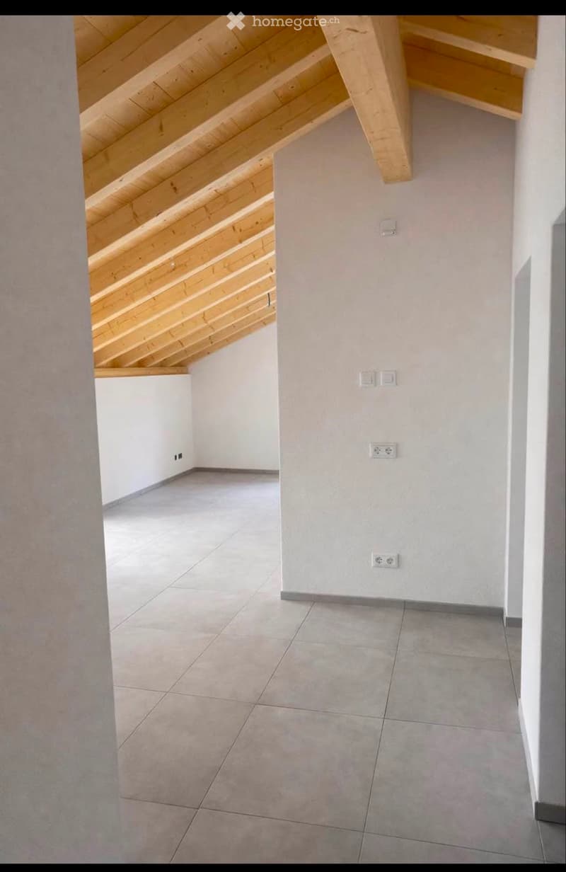 Affitto appartamento 3.5 locali (4)