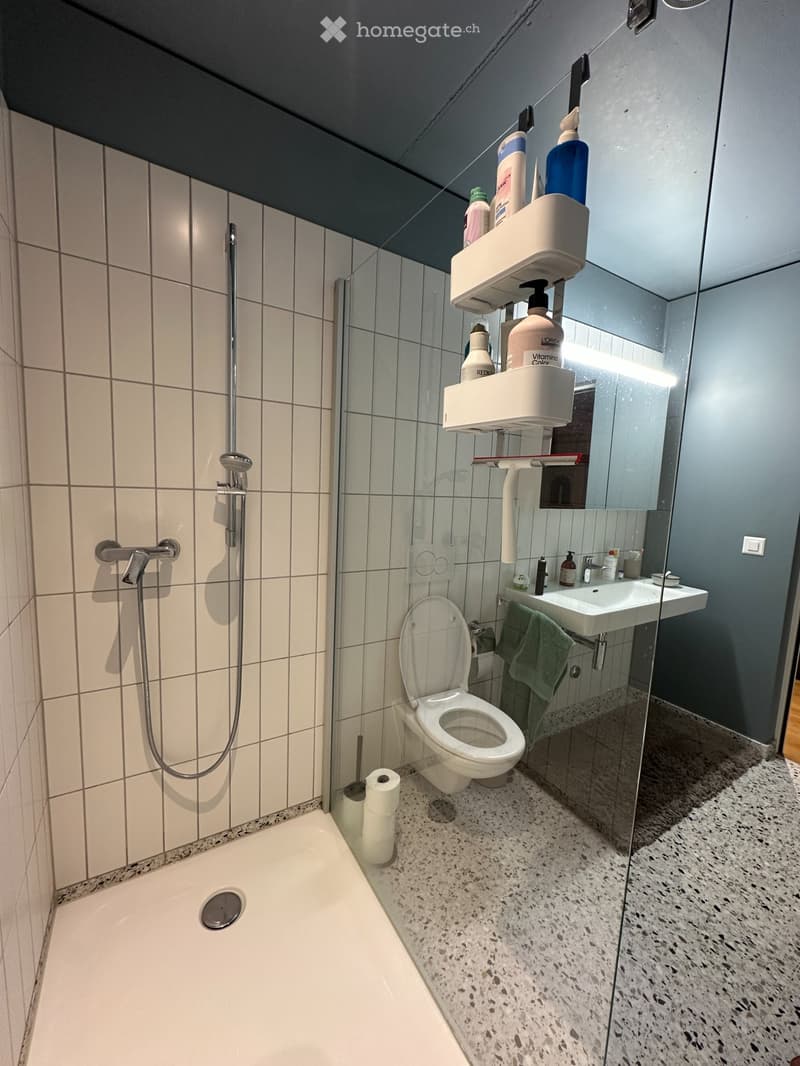 Moderne 2.5-Zimmer-Wohnung im Wankdorf mit Aussicht (5)