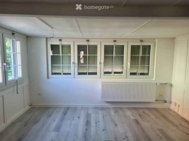Haus mit Werkstatt/Hobbyraum (3)