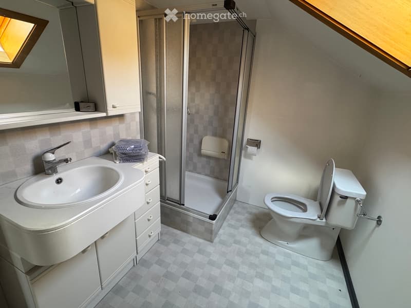 Frisch renovierte Dachwohnung (6)