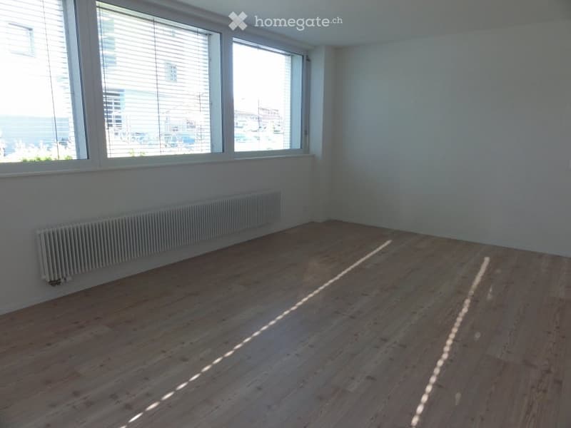 Vermiete schöne 2 Zimmer Wohnung (3)