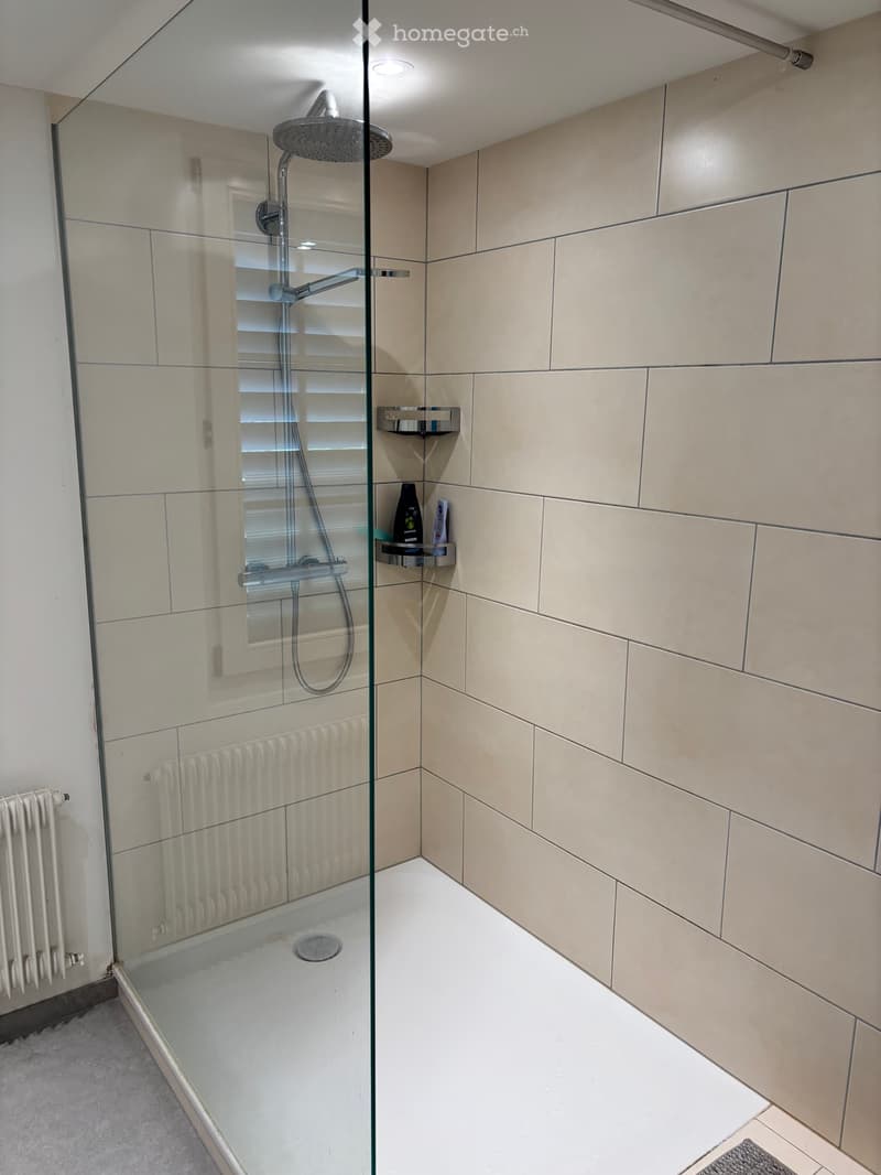 WGZimmer in 7ZimmerWohnung ab sofort zu vermieten. (3)