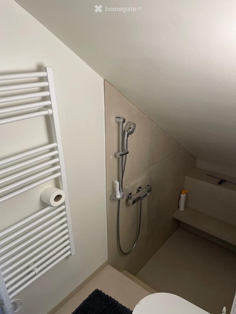Appartamento ammobiliato 2 locali per periodo invernale (3)