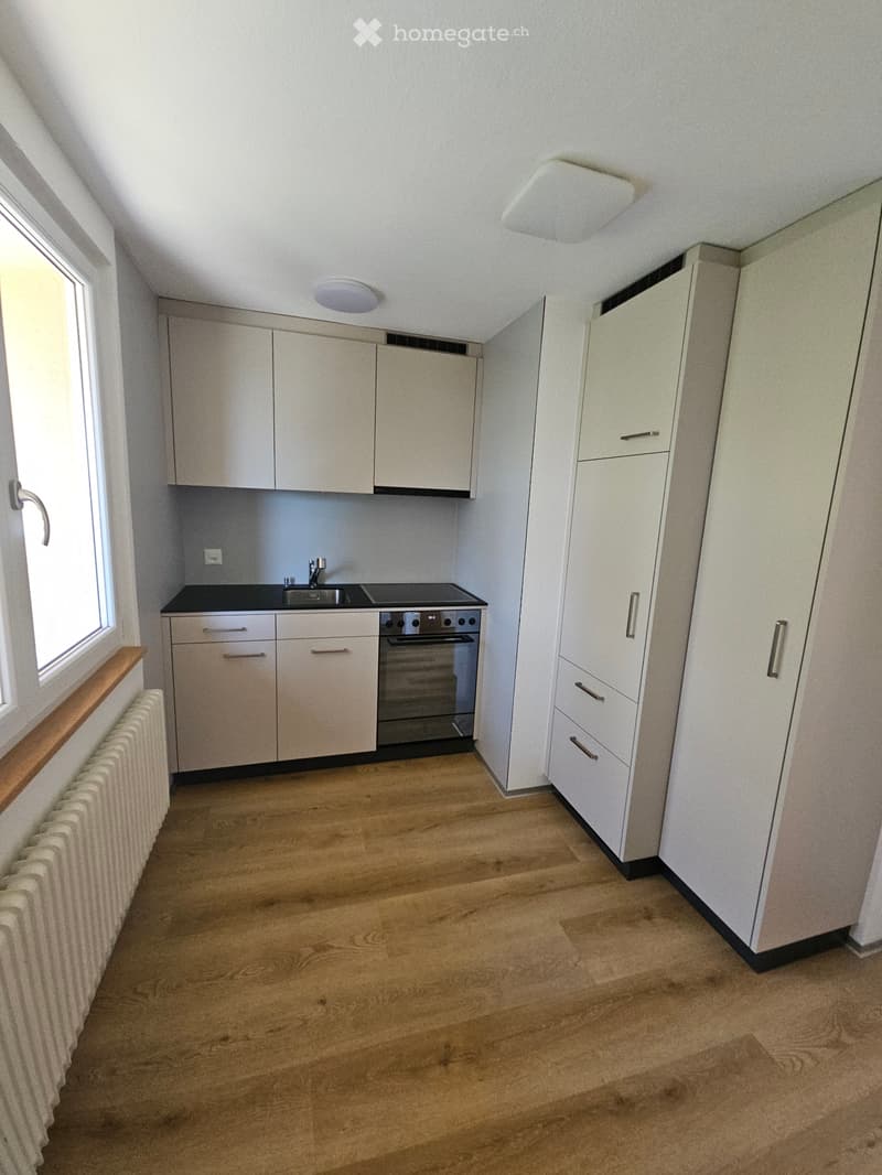 3 Zimmerwohnung mit brandneuen Böden, Küche und Badezimmer! (1)