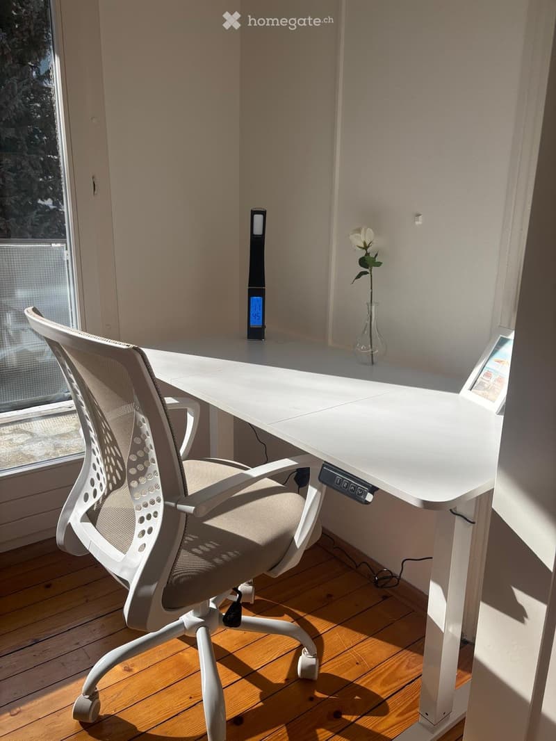 Helles möbliertes Zimmer in 4-er WG in St. Gallen -all incl (4)