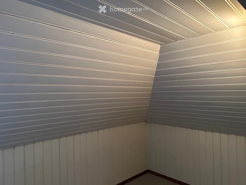 Dachwohnung (4)