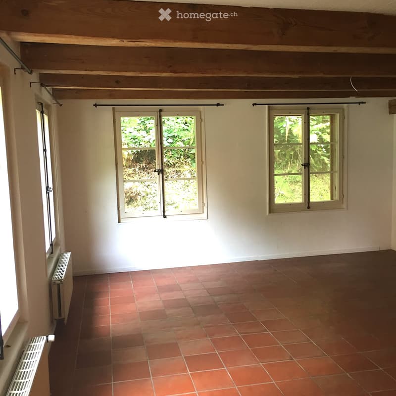 Charmanter 4.5-Zimmer-Bauernhausteil in Lüterswil (2)
