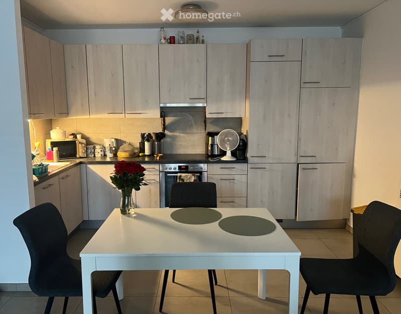 Appartamento 2 piano con terrazzo - chiasso (3)