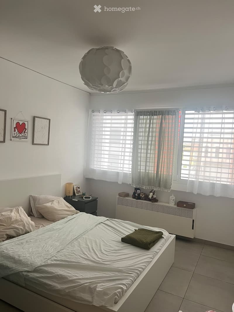 Appartamento 2 piano con terrazzo - chiasso (2)